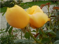 049cb121-Picture 779.jpg